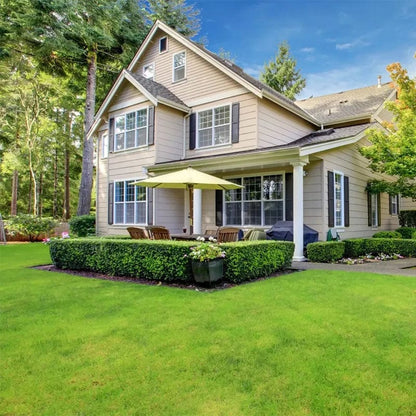 Naturixy™️Evergreen Dwarf Grass Seed